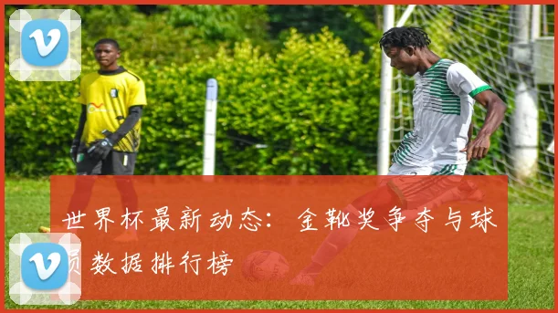 世界杯最新动态:金靴奖争夺与球员数据排行榜
