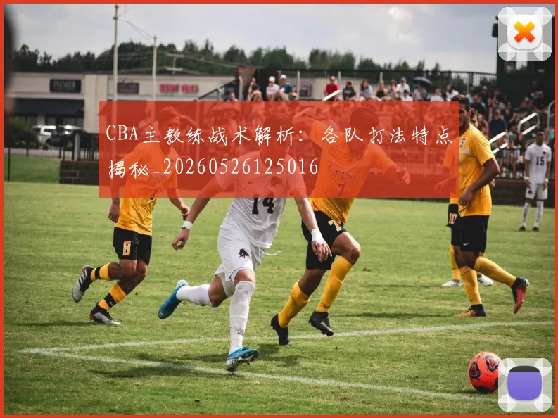 CBA主教练战术解析：各队打法特点揭秘_20260526125016