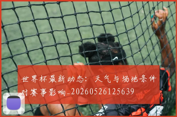 世界杯最新动态：天气与场地条件对赛事影响_20260526125639